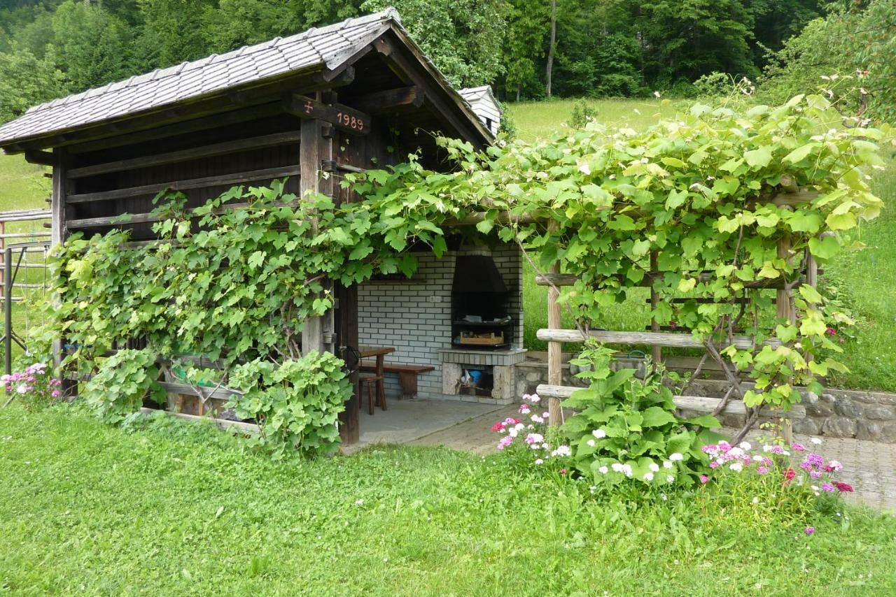 Bauernhof Turisticna Kmetija Zerovc Bled